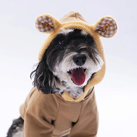 Pawstar Grizzly Küçük Irk Köpek Sweatshirtü
