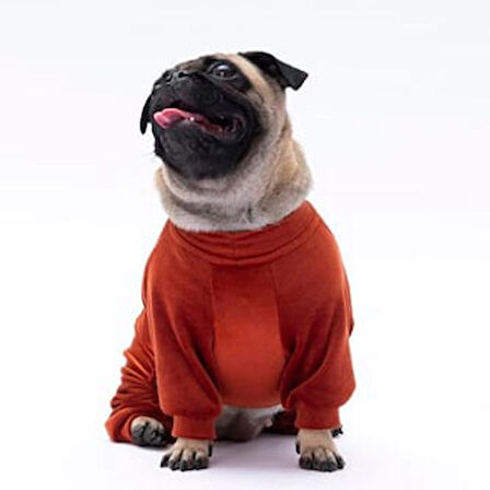 Pawstar Kiremit Bonjour Kadife Küçük Irk Köpek Tulumu