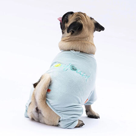 Pawstar Mint Bonjour Kadife Küçük Irk Köpek Tulumu