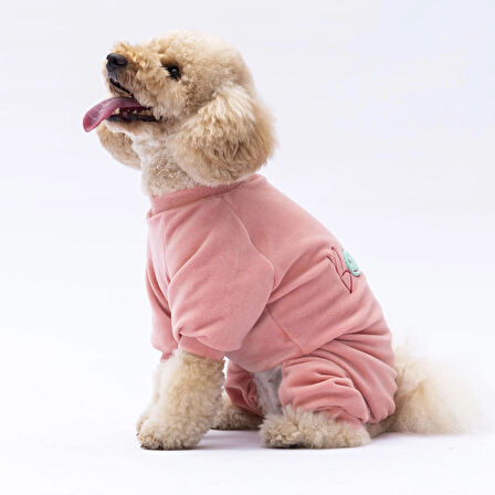 Pawstar Rose Bonjour Kadife Küçük Irk Köpek Tulumu