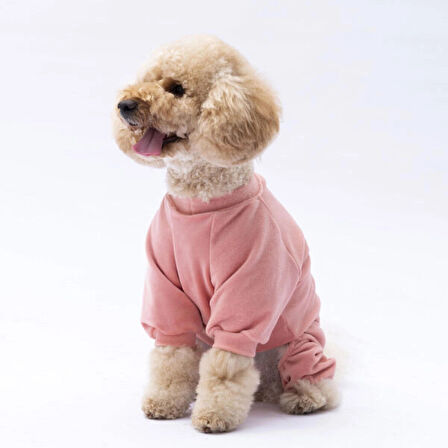Pawstar Rose Bonjour Kadife Küçük Irk Köpek Tulumu