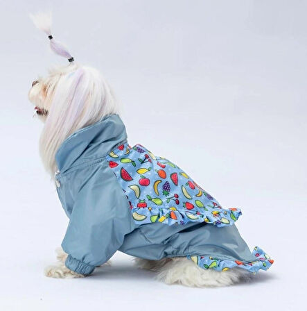 Pawstar Gri Victoria Polarlı Su Geçirmez Küçük Irk Köpek Yağmurluğu