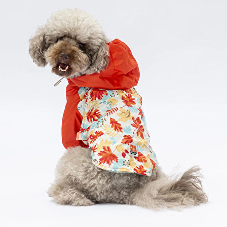 Pawstar Ottawa Polarlı Su Geçirmez Küçük Irk Köpek Yağmurluğu