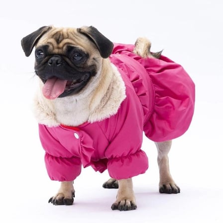 PawStar Fuşya Elizabeth Yağmurluk Küçük ve Orta Irk