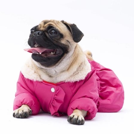 PawStar Fuşya Elizabeth Yağmurluk Küçük ve Orta Irk