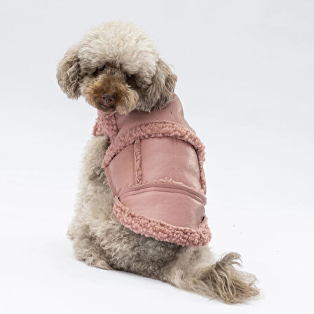 Pawstar Rose Churchill Su Geçirmez Küçük Irk Köpek Yeleği