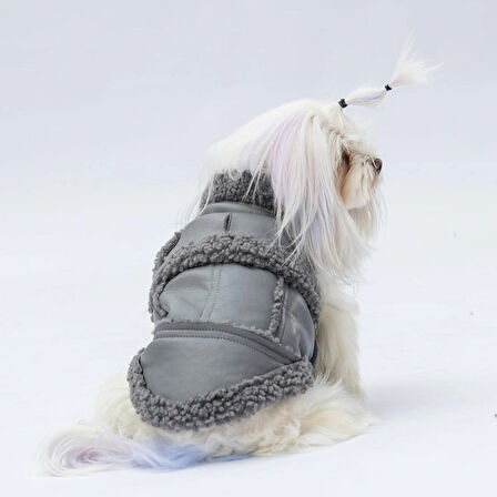 Pawstar Gri Churchill Su Geçirmez Küçük Irk Köpek Yeleği