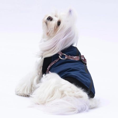 PawStar Lacivert Nuuk Kolsuz Yelek Yağmurluk Küçük ve Orta Irk