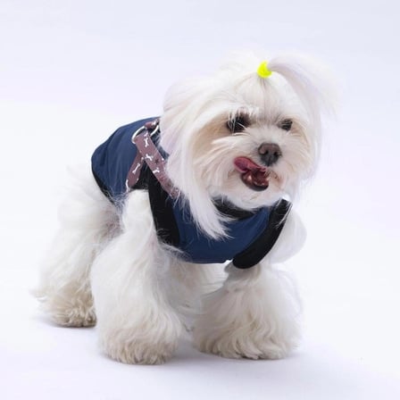 PawStar Lacivert Nuuk Kolsuz Yelek Yağmurluk Küçük ve Orta Irk