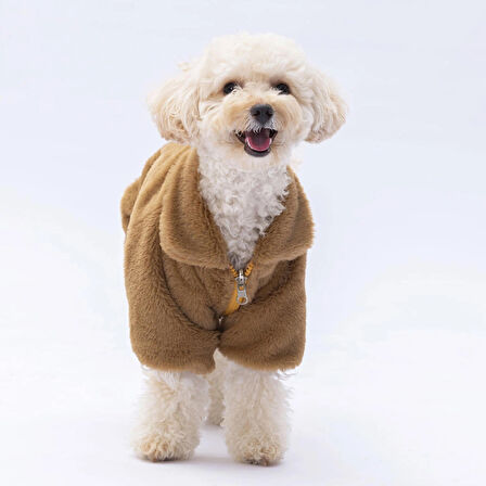 Pawstar Kahverengi Paris Küçük Irk Köpek Ceketi