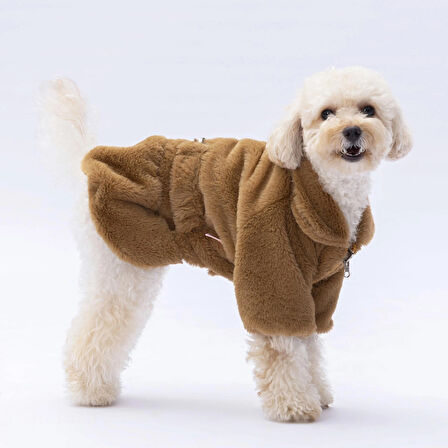 Pawstar Kahverengi Paris Küçük Irk Köpek Ceketi