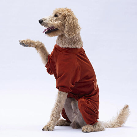 Pawstar Kiremit Bonjour Kadife Orta-Büyük Irk Köpek Tulumu