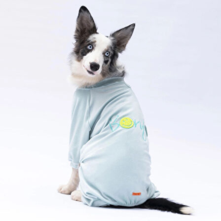 Pawstar Mint Bonjour Kadife Orta-Büyük Irk Köpek Tulumu