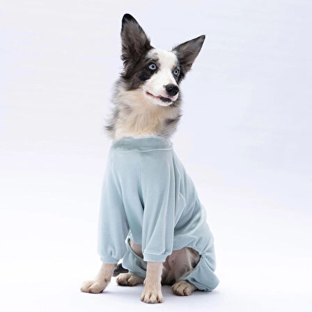 Pawstar Mint Bonjour Kadife Orta-Büyük Irk Köpek Tulumu