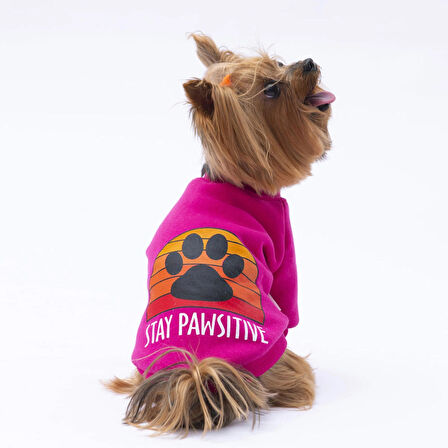 Pawstar Pembe Carmel Polarlı Küçük Irk Köpek Sweatshirtü