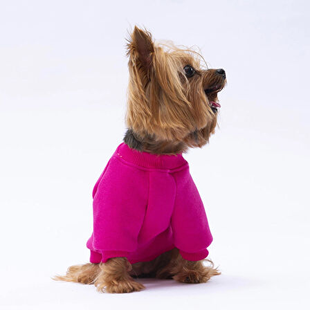 Pawstar Pembe Carmel Polarlı Küçük Irk Köpek Sweatshirtü