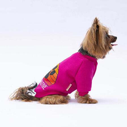 Pawstar Pembe Carmel Polarlı Küçük Irk Köpek Sweatshirtü