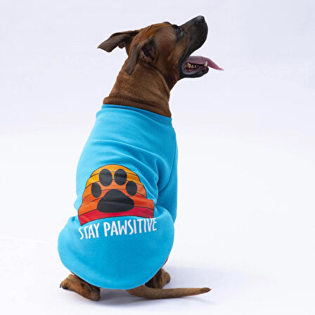 Pawstar Turkuaz Carmel Polarlı Orta-Büyük Irk Köpek Sweatshirtü