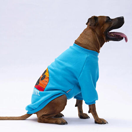 Pawstar Turkuaz Carmel Polarlı Orta-Büyük Irk Köpek Sweatshirtü