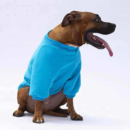 Pawstar Turkuaz Carmel Polarlı Orta-Büyük Irk Köpek Sweatshirtü