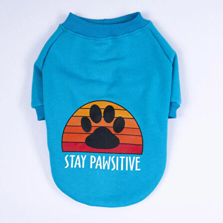 Pawstar Turkuaz Carmel Polarlı Orta-Büyük Irk Köpek Sweatshirtü