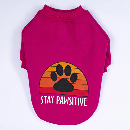 Pawstar Pembe Carmel Polarlı Orta-Büyük Irk Köpek Sweatshirtü