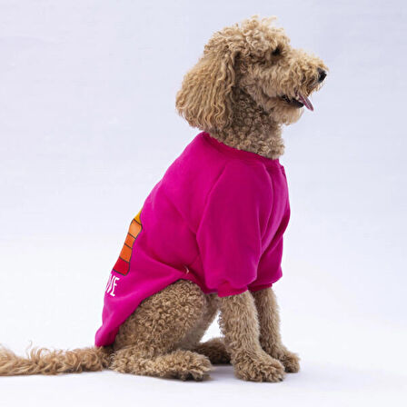 Pawstar Pembe Carmel Polarlı Orta-Büyük Irk Köpek Sweatshirtü