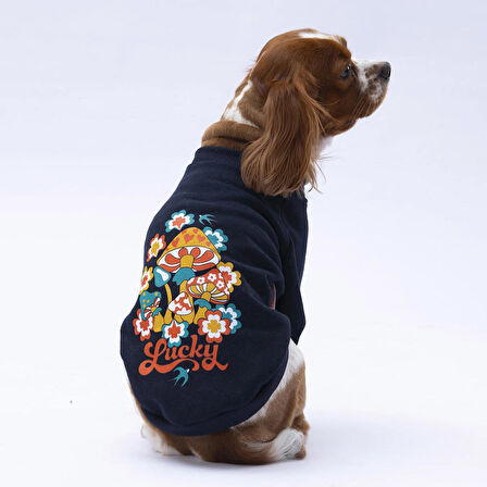 Pawstar Siyah Chongqing Polarlı Küçük Irk Köpek Sweatshirtü