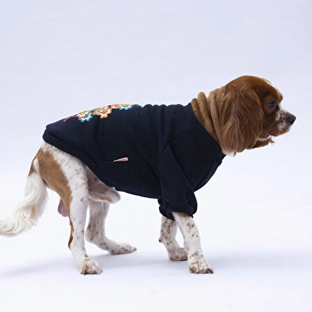 Pawstar Siyah Chongqing Polarlı Küçük Irk Köpek Sweatshirtü