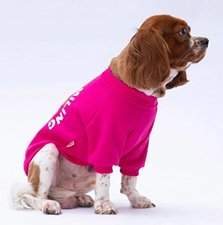 Pawstar Pembe Lahti Polarlı Küçük Irk Köpek Sweatshirtü