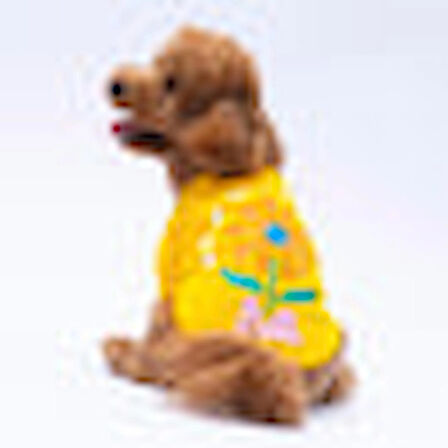 Pawstar Sarı Lahti Polarlı Küçük Irk Köpek Sweatshirtü