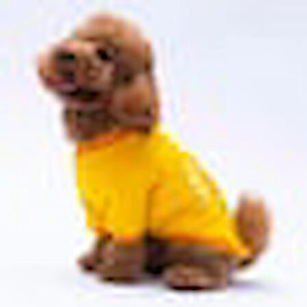 Pawstar Sarı Lahti Polarlı Küçük Irk Köpek Sweatshirtü