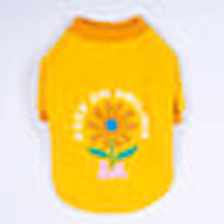 Pawstar Sarı Lahti Polarlı Küçük Irk Köpek Sweatshirtü