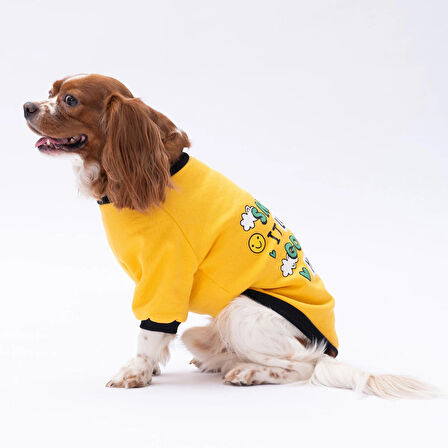 Pawstar Yellow Loviisa Polarlı Küçük Irk Köpek Sweatshirtü