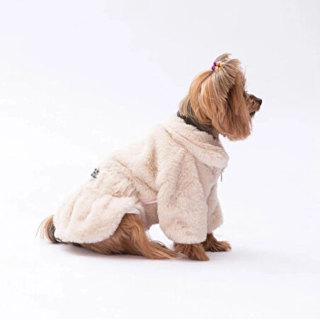 Pawstar Ekru Paris Küçük Irk Köpek Ceketi