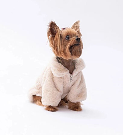 Pawstar Ekru Paris Küçük Irk Köpek Ceketi