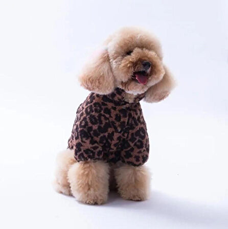 Pawstar Sri Lanka Küçük Irk Köpek Pofuduk Ceketi