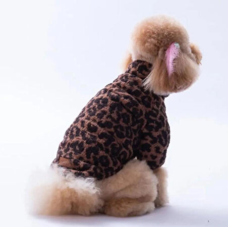 Pawstar Sri Lanka Küçük Irk Köpek Pofuduk Ceketi