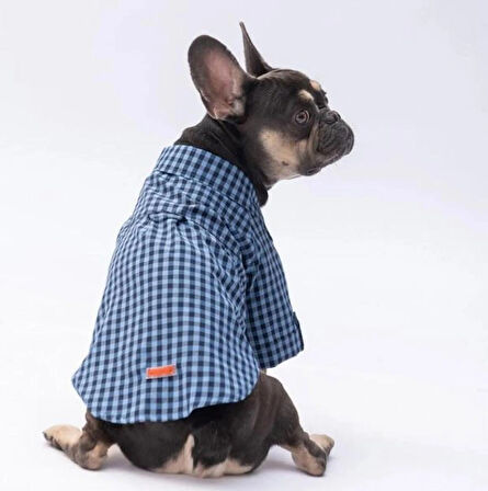 Pawstar Luss Mavi Kedi ve Küçük Irk Köpek Gömleği