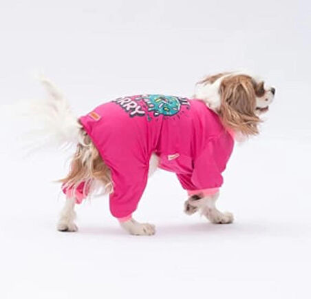 Pawstar Donut Worry Küçük Irk Köpek Penye Tulum Pijama