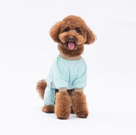 Pawstar Lama&Dog Küçük Irk Köpek Penye Tulum Pijama