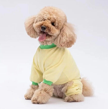 Pawstar Ninja Diet Küçük Irk Köpek Penye Tulum Pijama