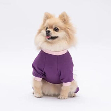 Pawstar Happy Küçük Irk Köpek Penye Tulum Pijama