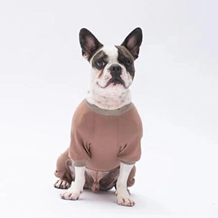 Pawstar Happy Teddy Küçük Irk Köpek Penye Tulum Pijama