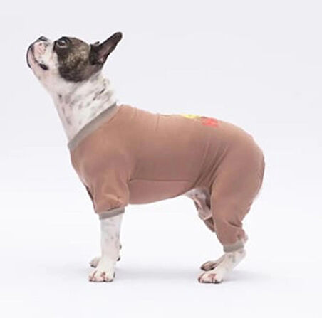 Pawstar Happy Teddy Küçük Irk Köpek Penye Tulum Pijama