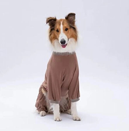 Pawstar Happy Teddy Bear Orta-Büyük Irk Köpek Penye Tulum