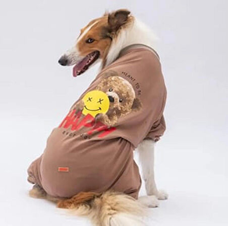 Pawstar Happy Teddy Bear Orta-Büyük Irk Köpek Penye Tulum