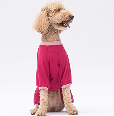 Pawstar Go Teddy Bear Orta-Büyük Irk Köpek Penye Tulum