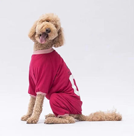 Pawstar Go Teddy Bear Orta-Büyük Irk Köpek Penye Tulum