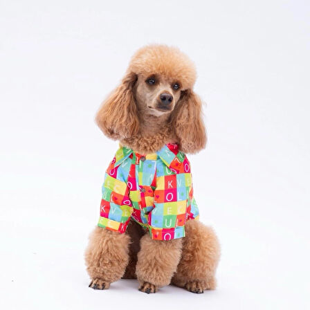 Pawstar Sarasota Kedi ve Küçük Irk Köpek Gömleği